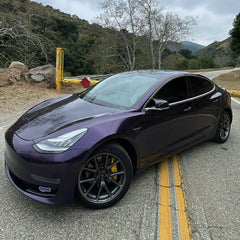 Midnight Purple