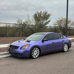 Viola Purple