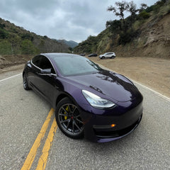 Midnight Purple