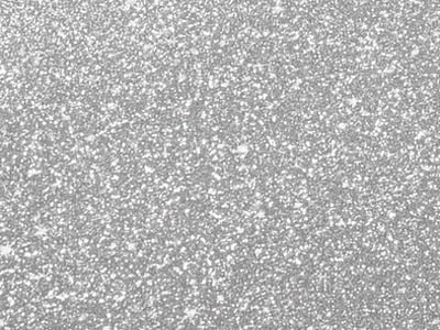 Satin Glitter