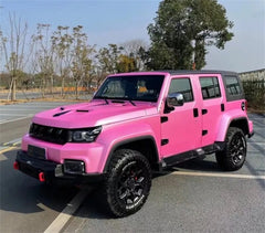 Conch Pink
