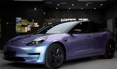 Dreamy Grey Purple